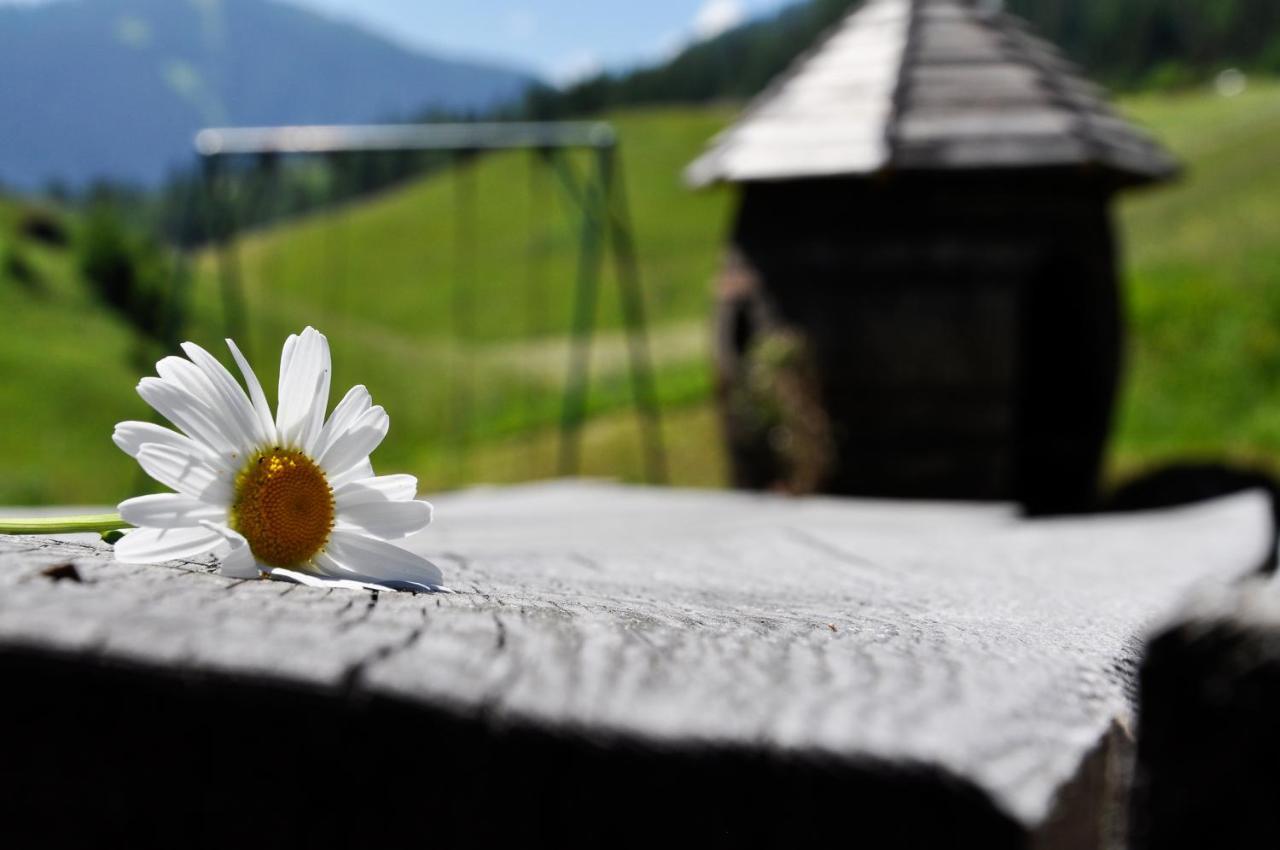 Guesthouse Rungg Badia  Exteriér fotografie